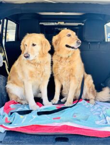 Fleetwood and Gypsy
