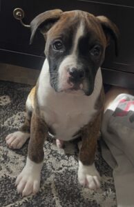 Samson