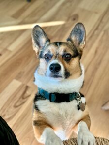 Tugboat